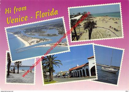 Venice - Florida - United States USA