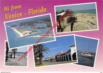 Venice - Florida - United States USA
