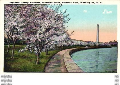 Washington