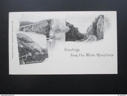 USA AK / Mehrbildkarte um 1900 Greetings from the White Mountains Washington Railway Verlag Chisholm Bros.