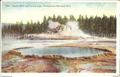 Yellowstone National Park Castle well and castle cone yellowstone national park