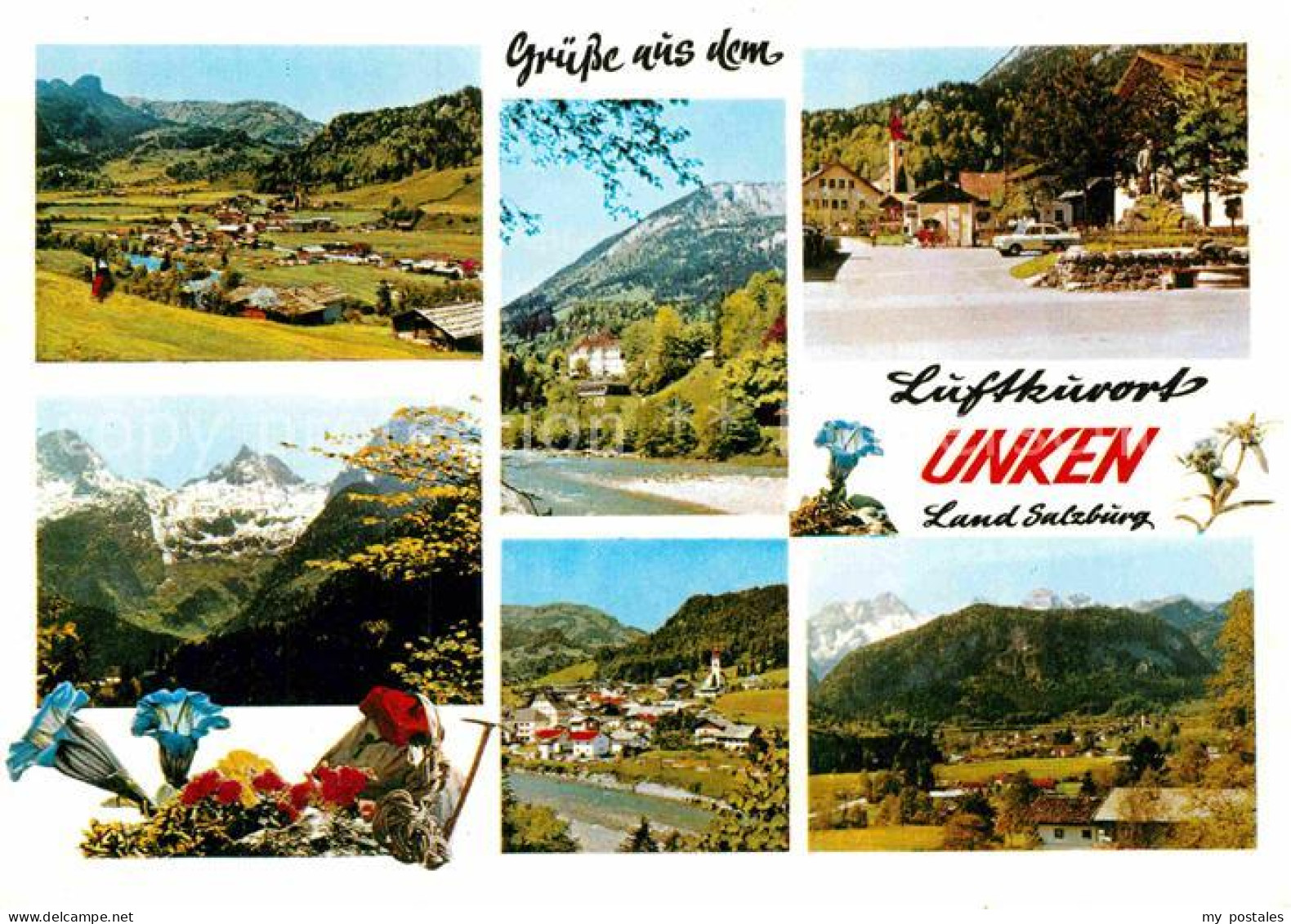 Unken