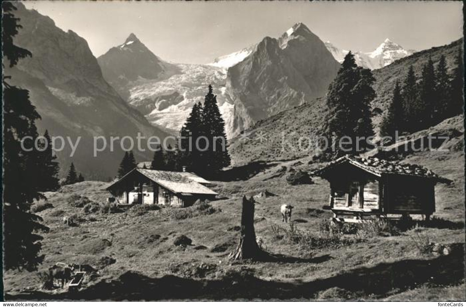 Unterbach BE Kaltenbrunnenalp