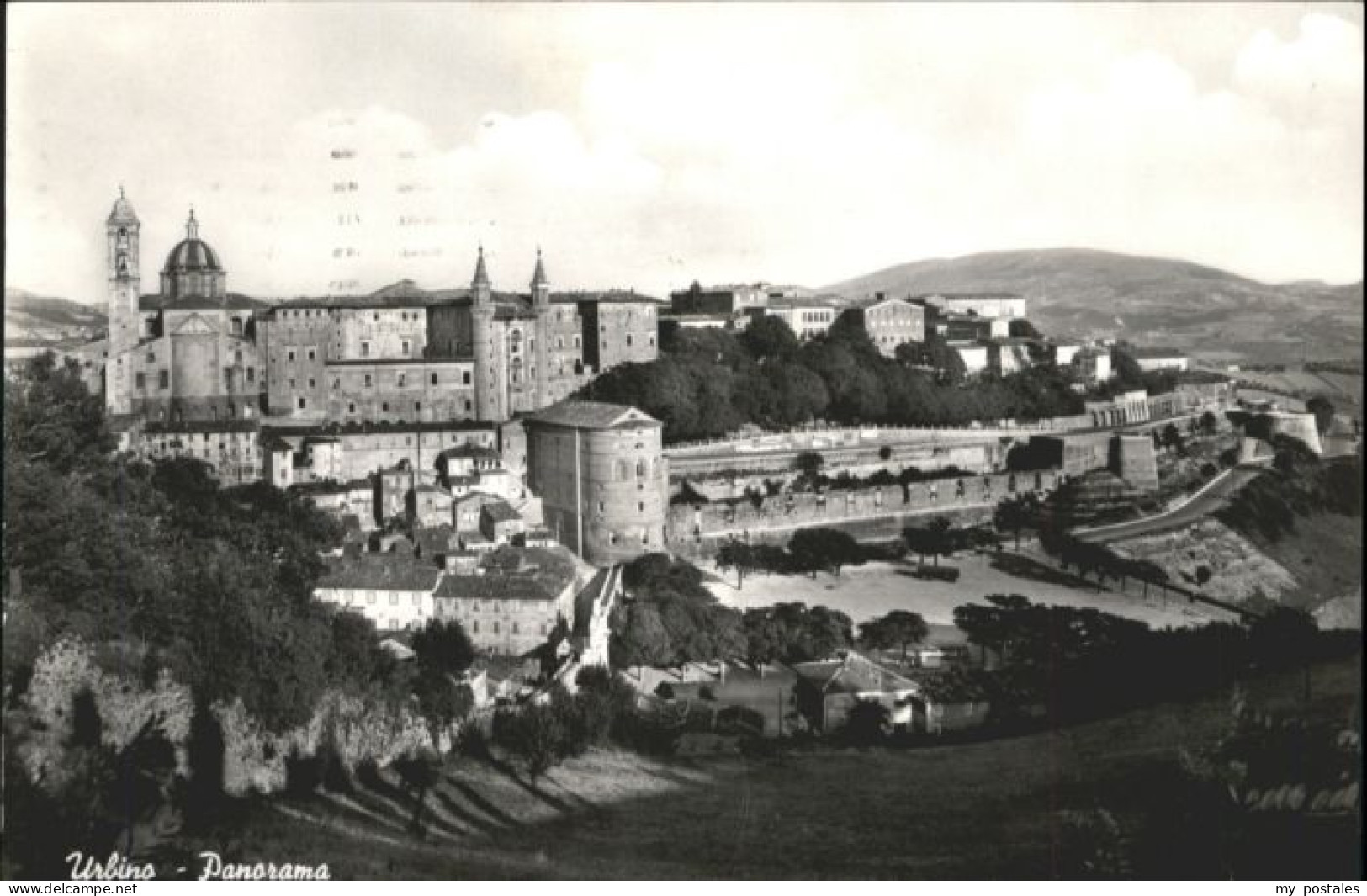 Urbino