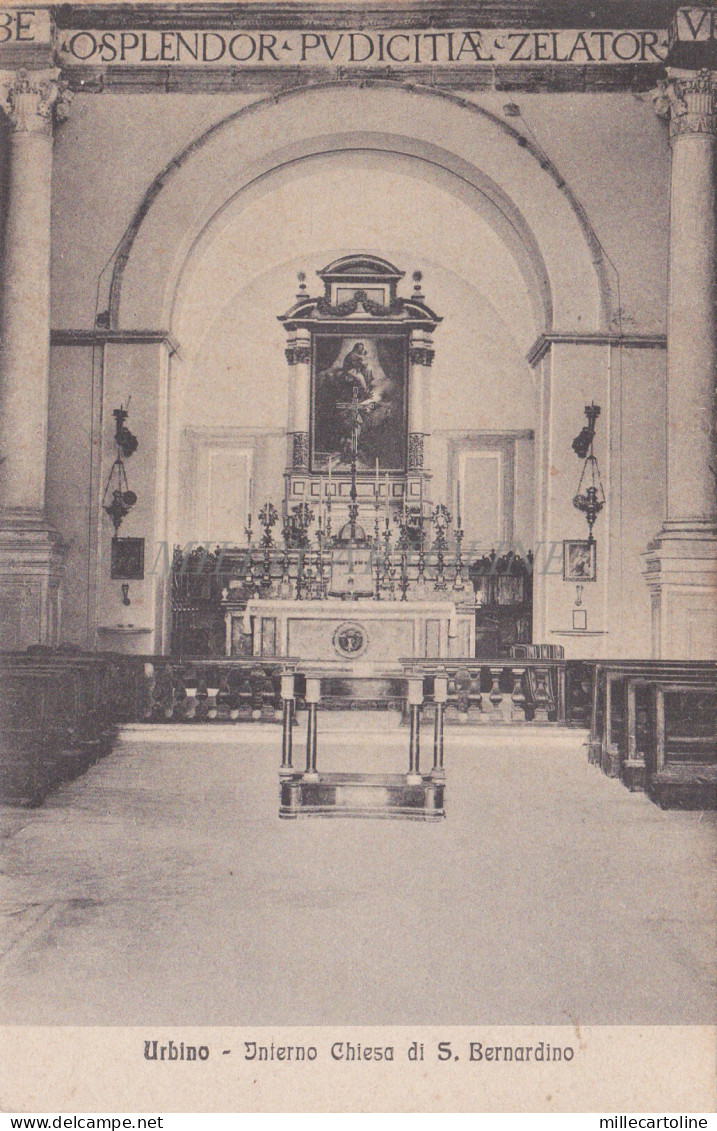 URBINO - Interno Chiesa S. Bernardino