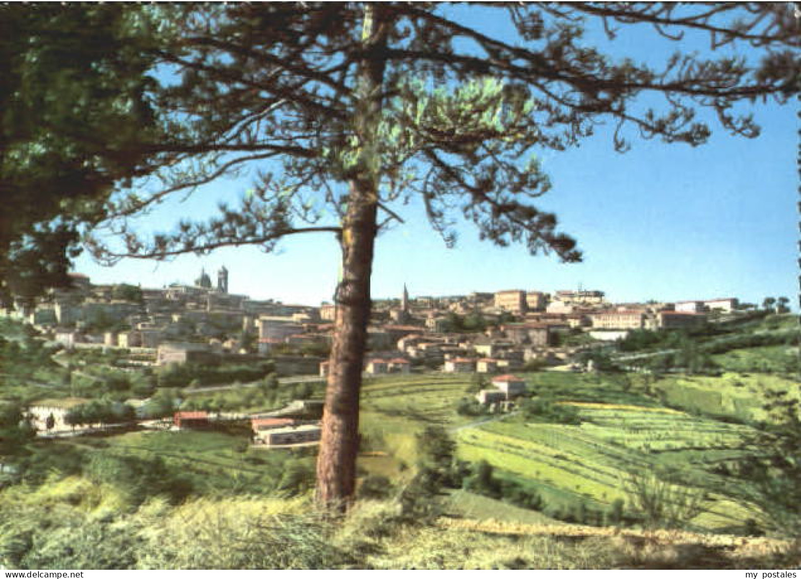 Urbino Urbino