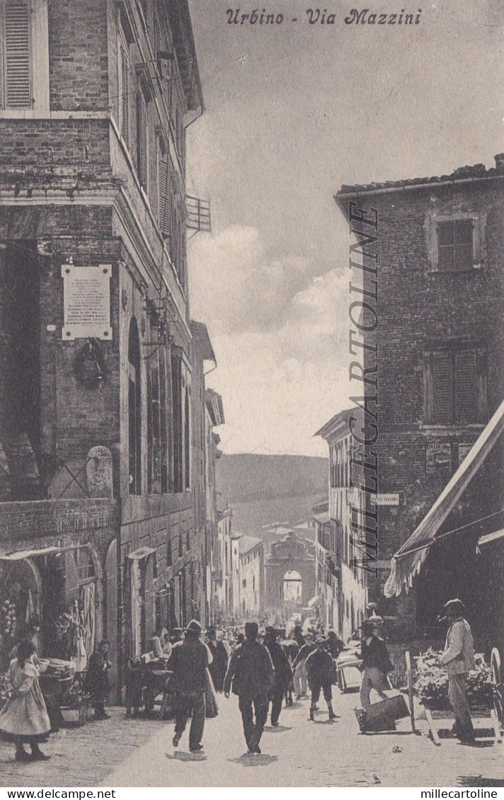 URBINO: Via Mazzini    1909