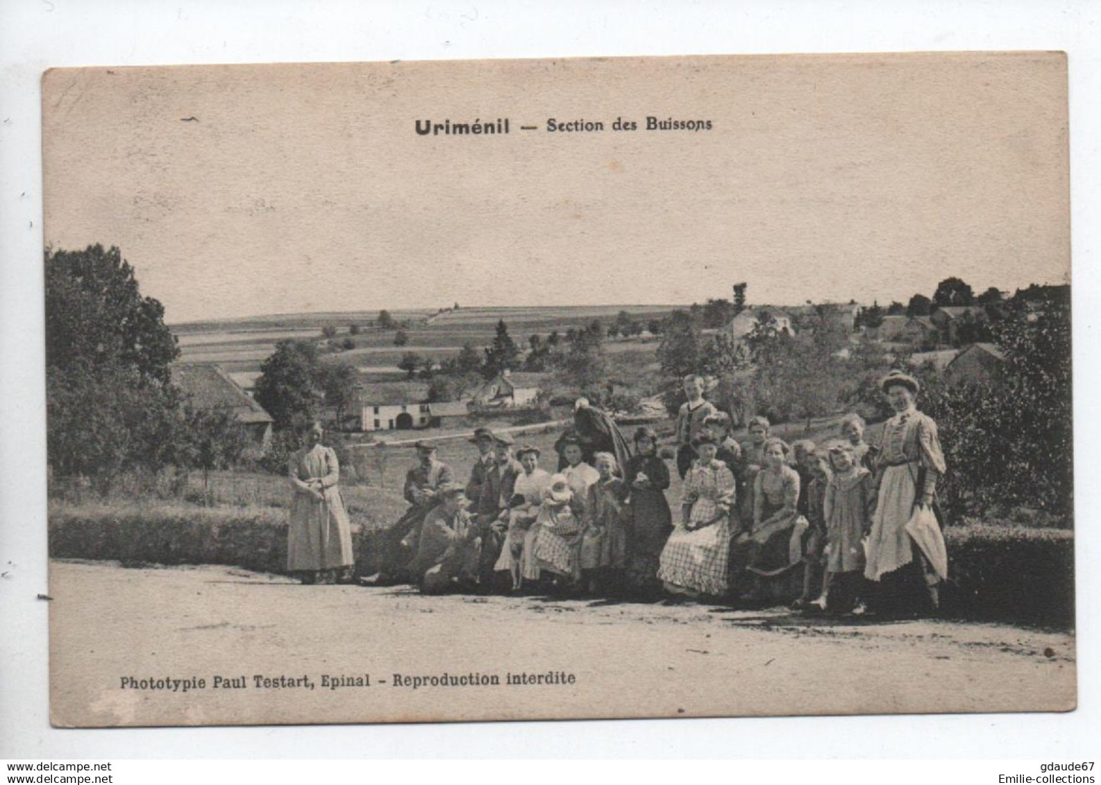 URIMENIL (88) - SECTION DES BUISSONS