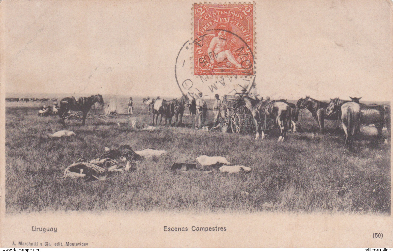 URUGUAY - Escenas Campestres 1905