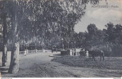 URUGUAY - Montevideo, Prado