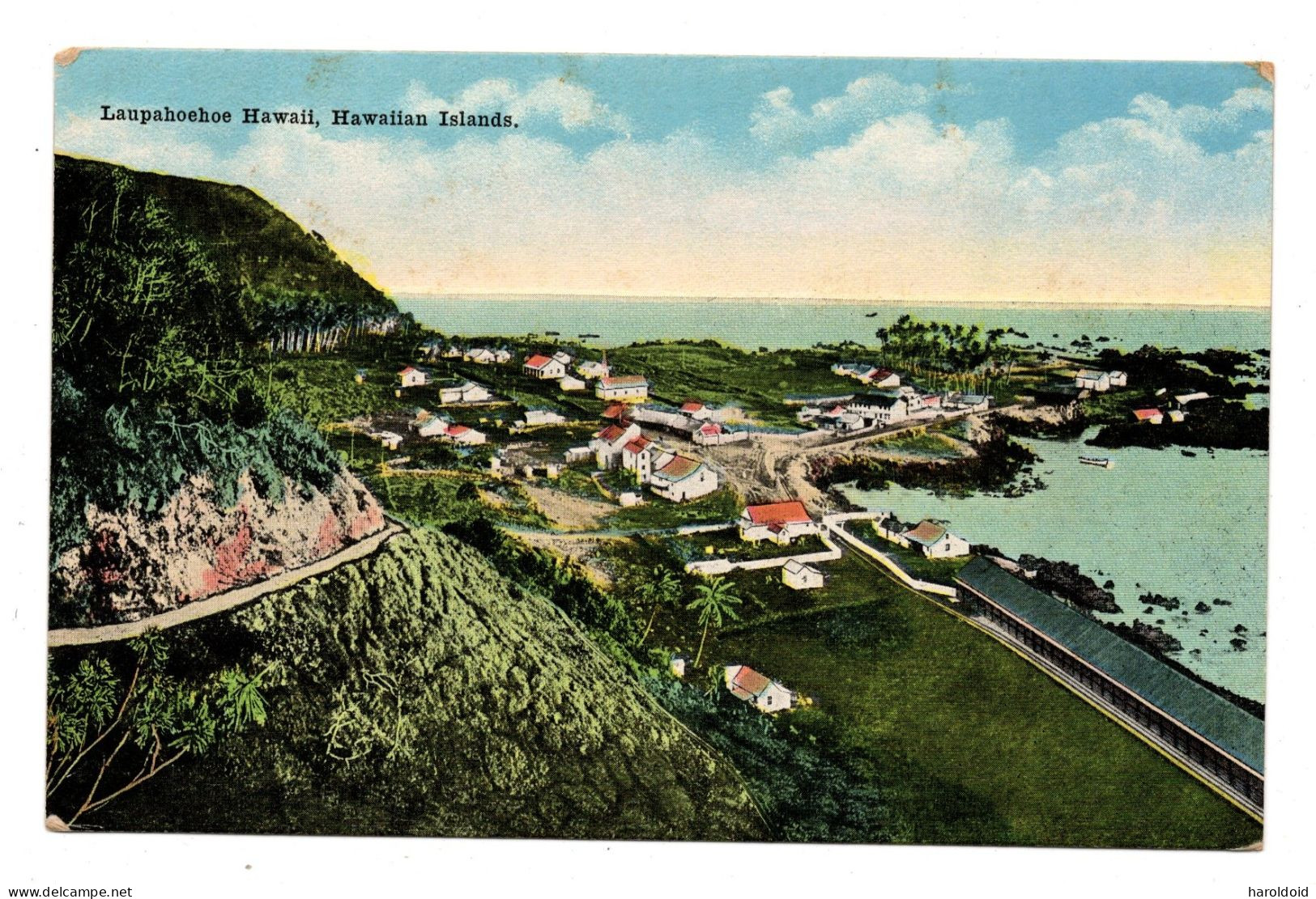 US POSTCARD - HAWAII - LAUPAHOEHOE - HAWAIIAN ISLANDS