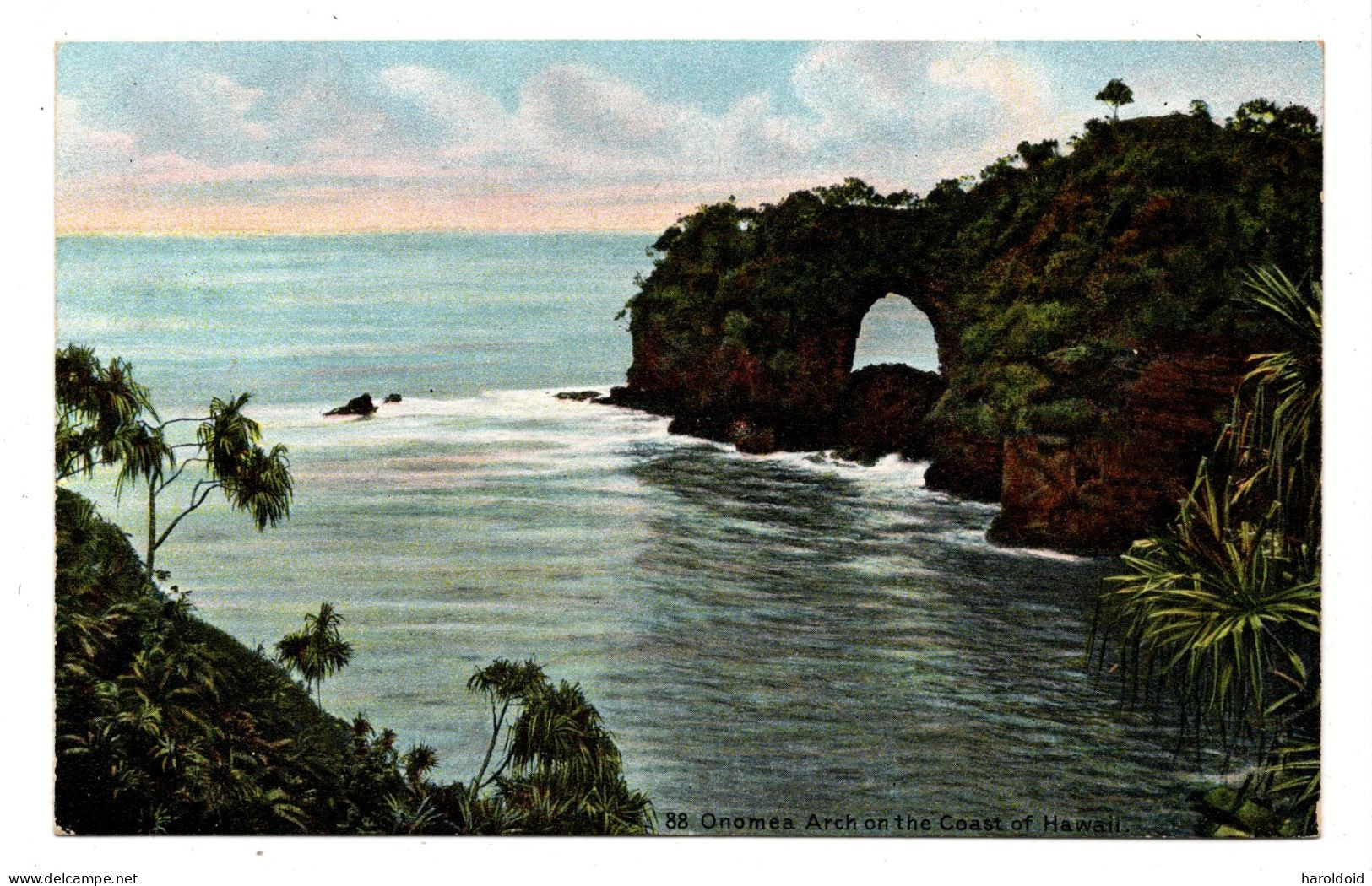 US POSTCARD - HAWAII - ONOMEA ARCH ON THE COAST OF HAWAI