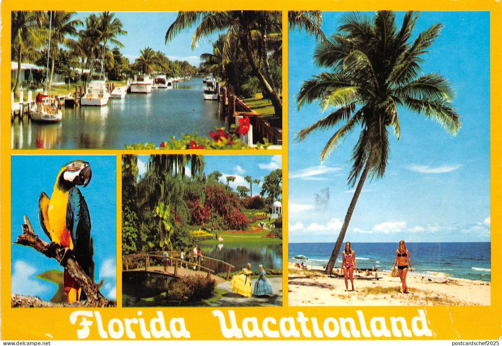 US13 USA FL Florida Vacationland multi view parrot 1989