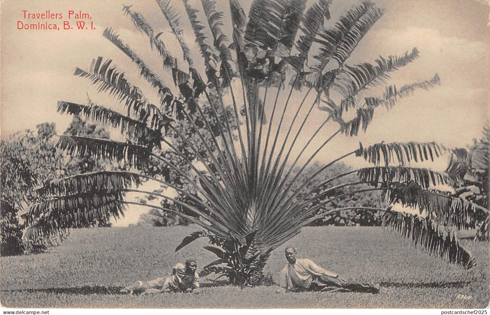 US34 postcard Dominica former British West Indies travellers palm Hotel de Paz