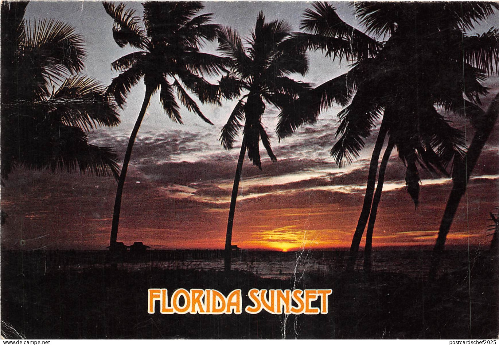 US8 USA FL Florida sunset Tropical coconut palms 1980