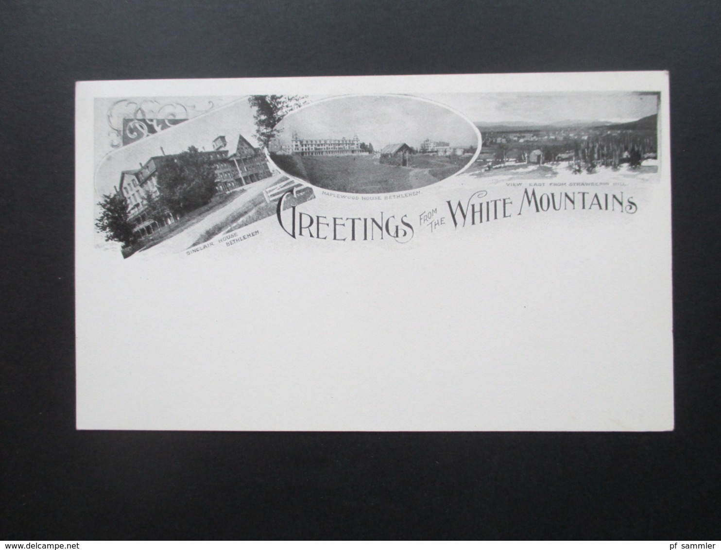 USA AK / Mehrbildkarte um 1900 Greetings from the White Mountains Sinclair House, Maplewood House Bethlehem