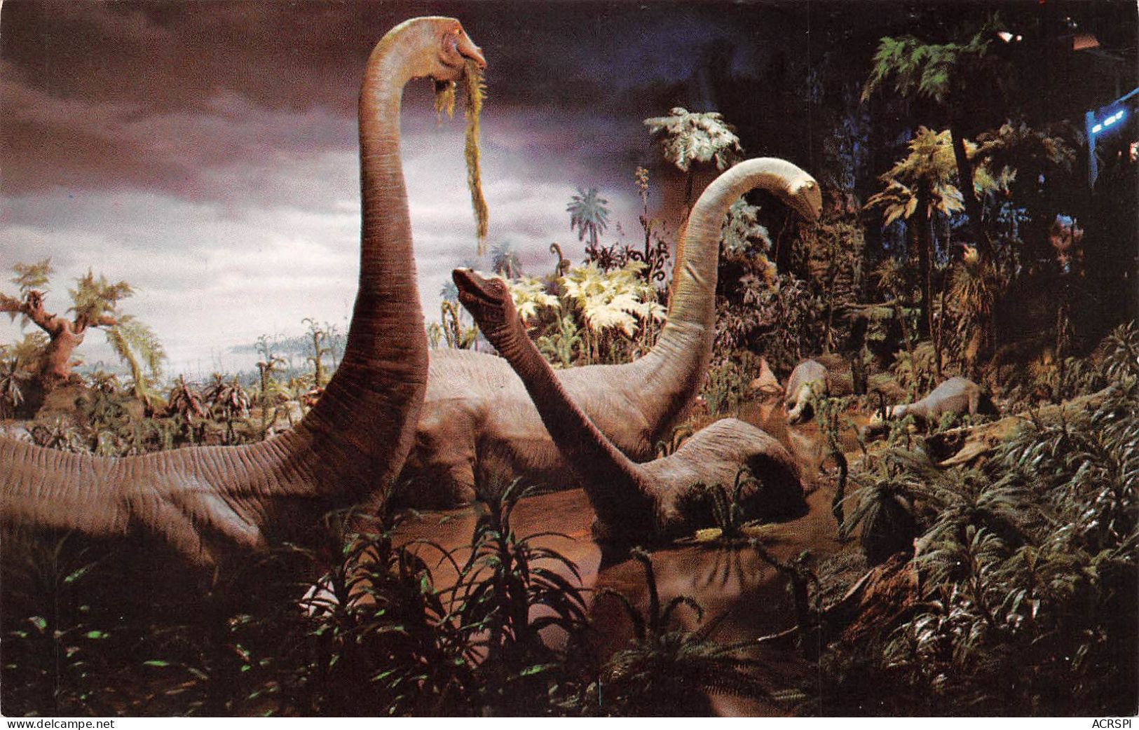 USA ANAHEIM DISNEYLAND Anaheim, CA 92802, États-Unis primeval world (Scan R/V) N° 9 \MR8058