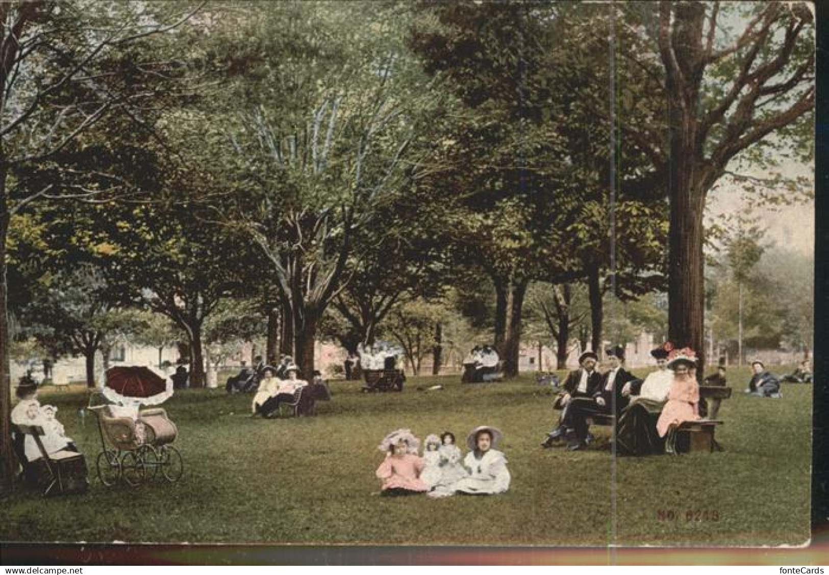 USA Im Park Kinder