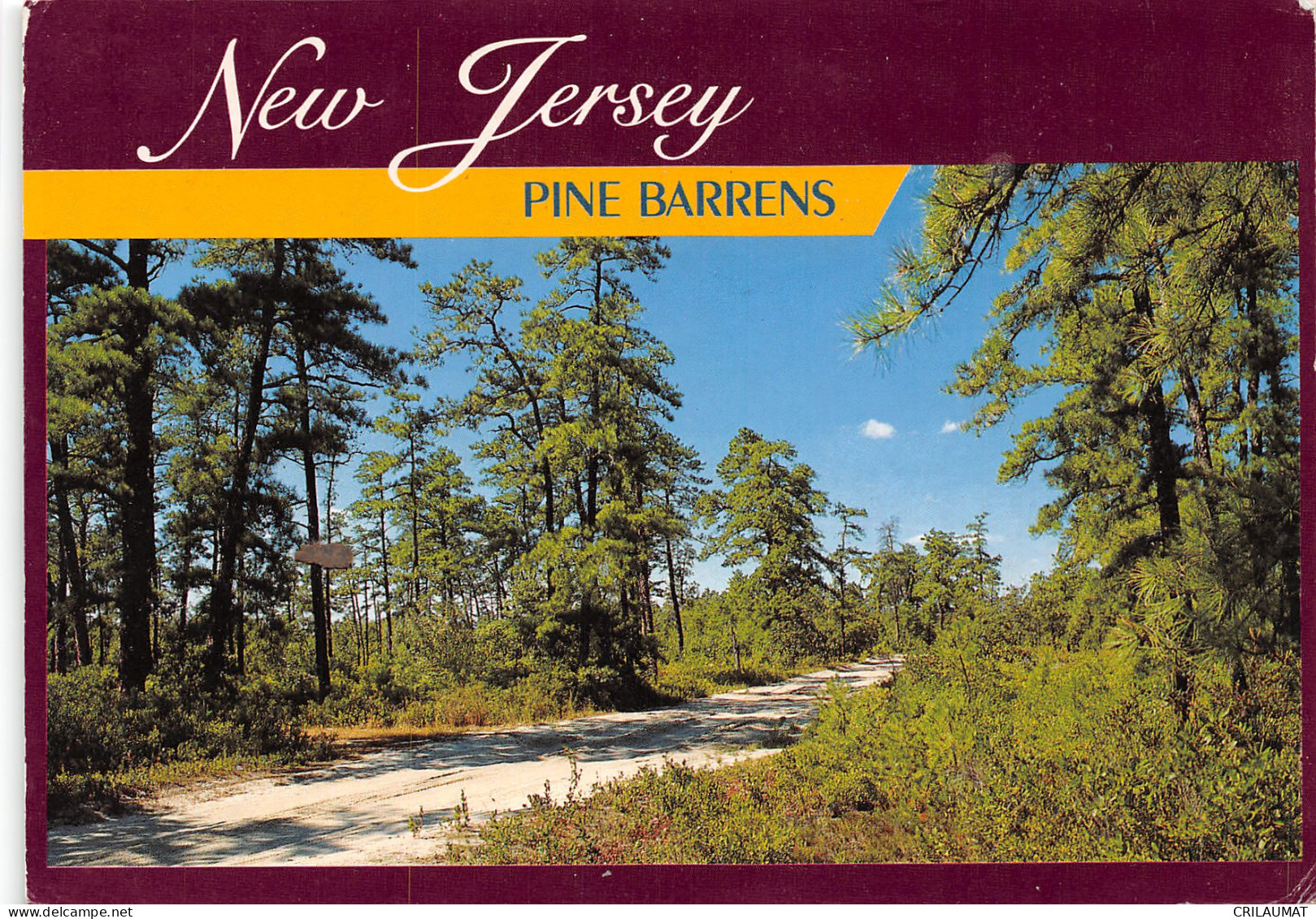 USA NJ NEW JERSEY