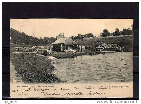 USA NY, Stamford, Trappers Lodge, Habitation de Trappeurs, Frontière Canada, Delaware, ed Tuck 2199, 1906