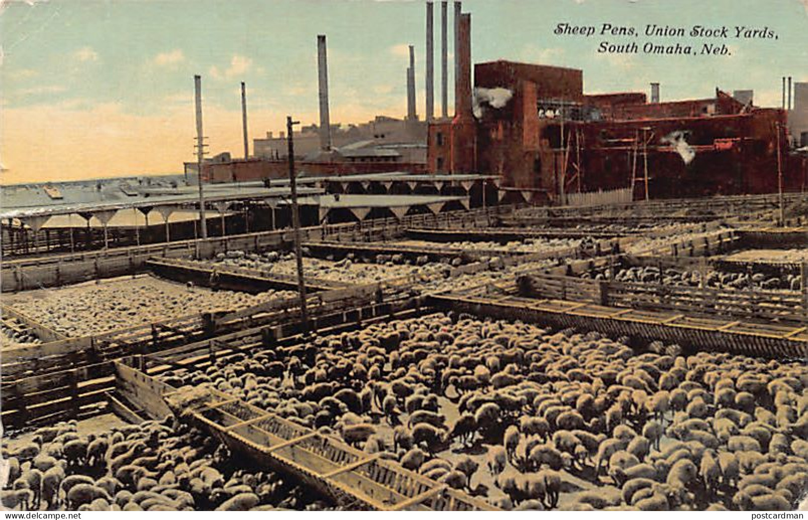 Usa - SOUTH OMAHA (NE) Sheep Pens, Union Stock Yards