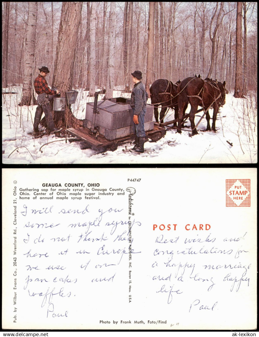 .USA United States of America GEAUGA COUNTY, OHIO USA Ahornsirup Ernte 1968