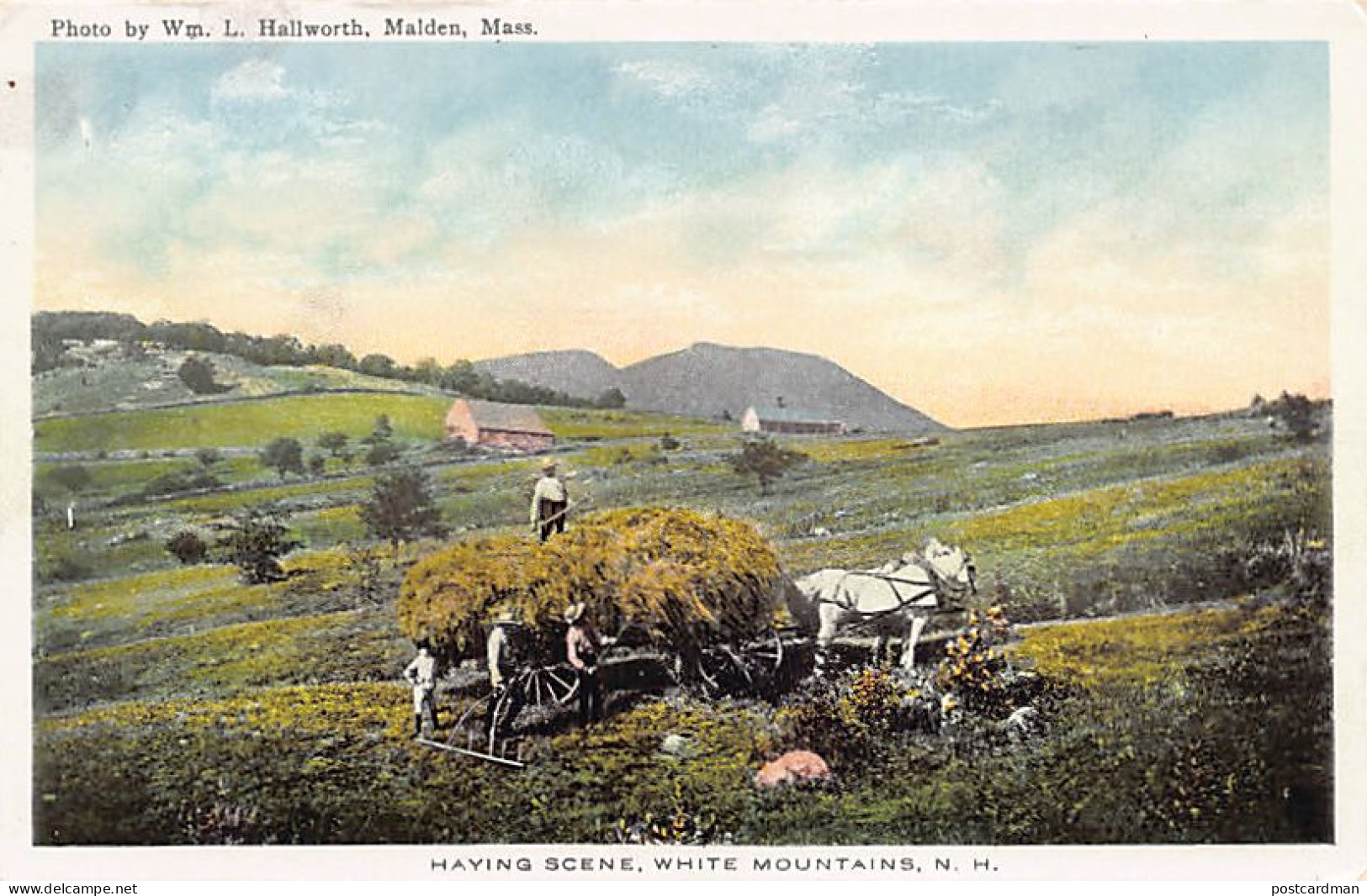 Usa - WHITE MOUNTAINS (NH) Haying scene