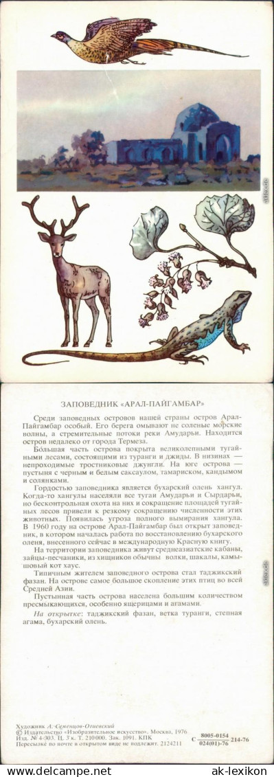 Postcard Termez Термиз Aral-Paygambar 1976