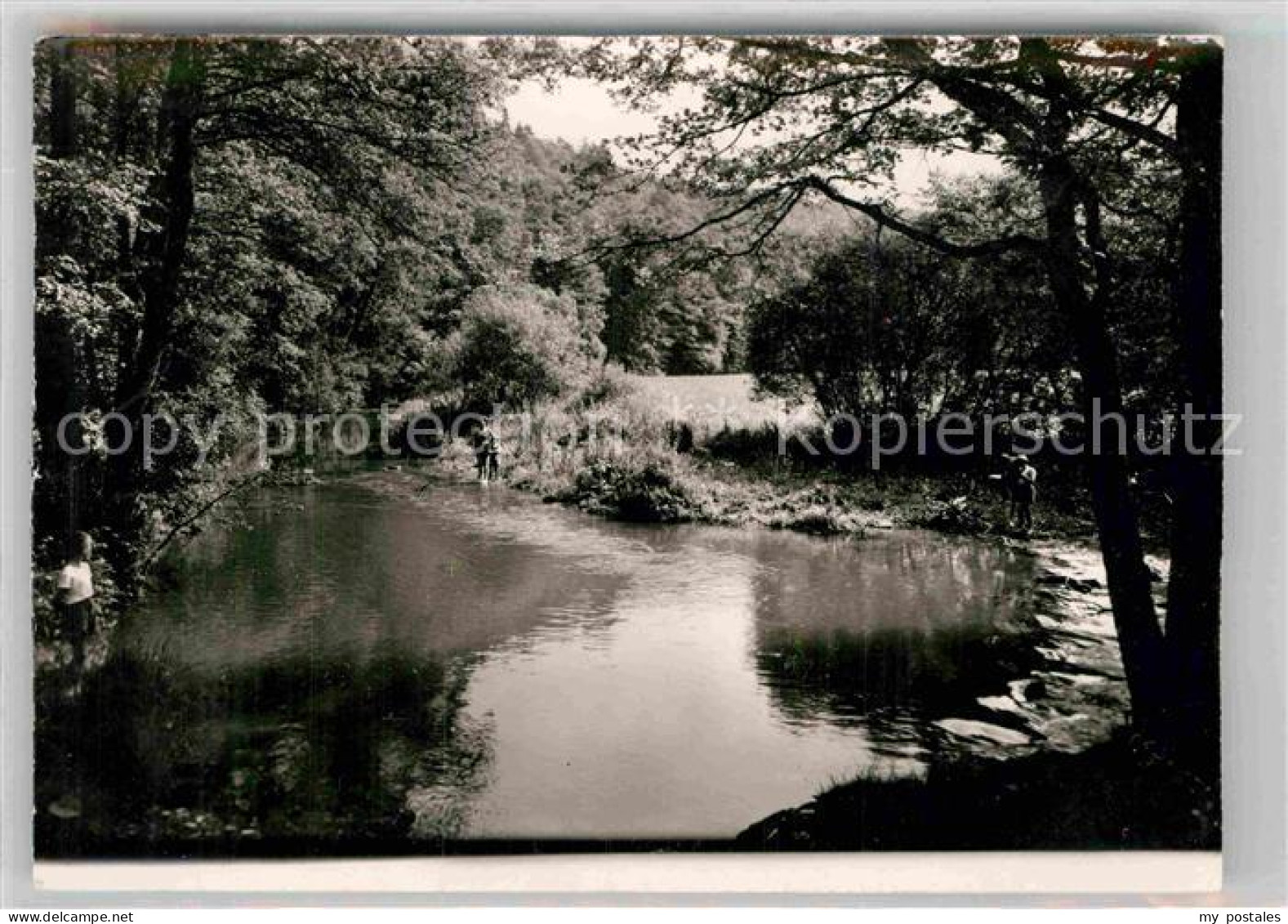 Usingen Hattstein Weiher