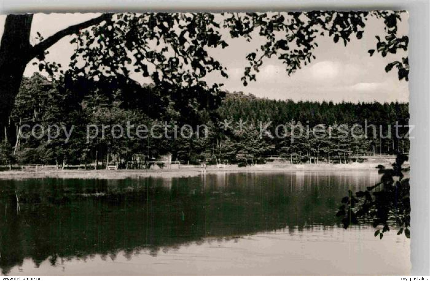 Usingen Hattstein Weiher