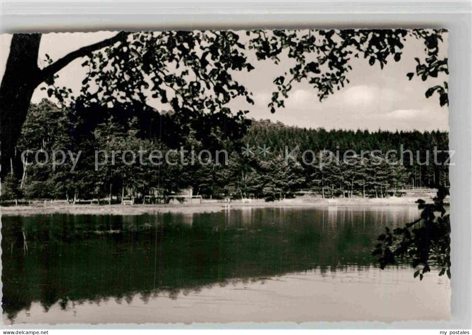 Usingen Hattstein Weiher Schwimmbad