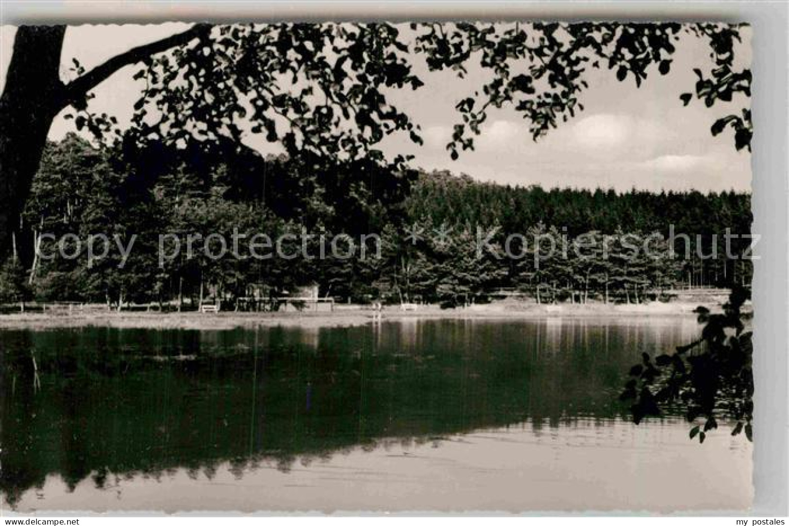 Usingen Hattstein Weiher Schwimmbad