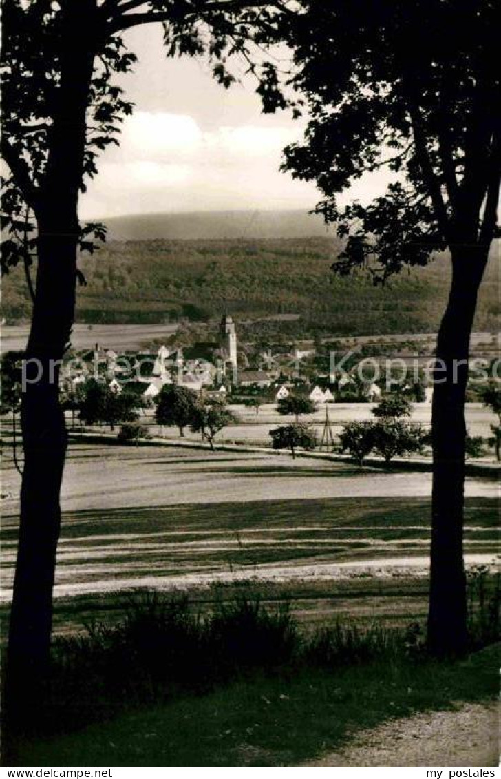 Usingen Panorama