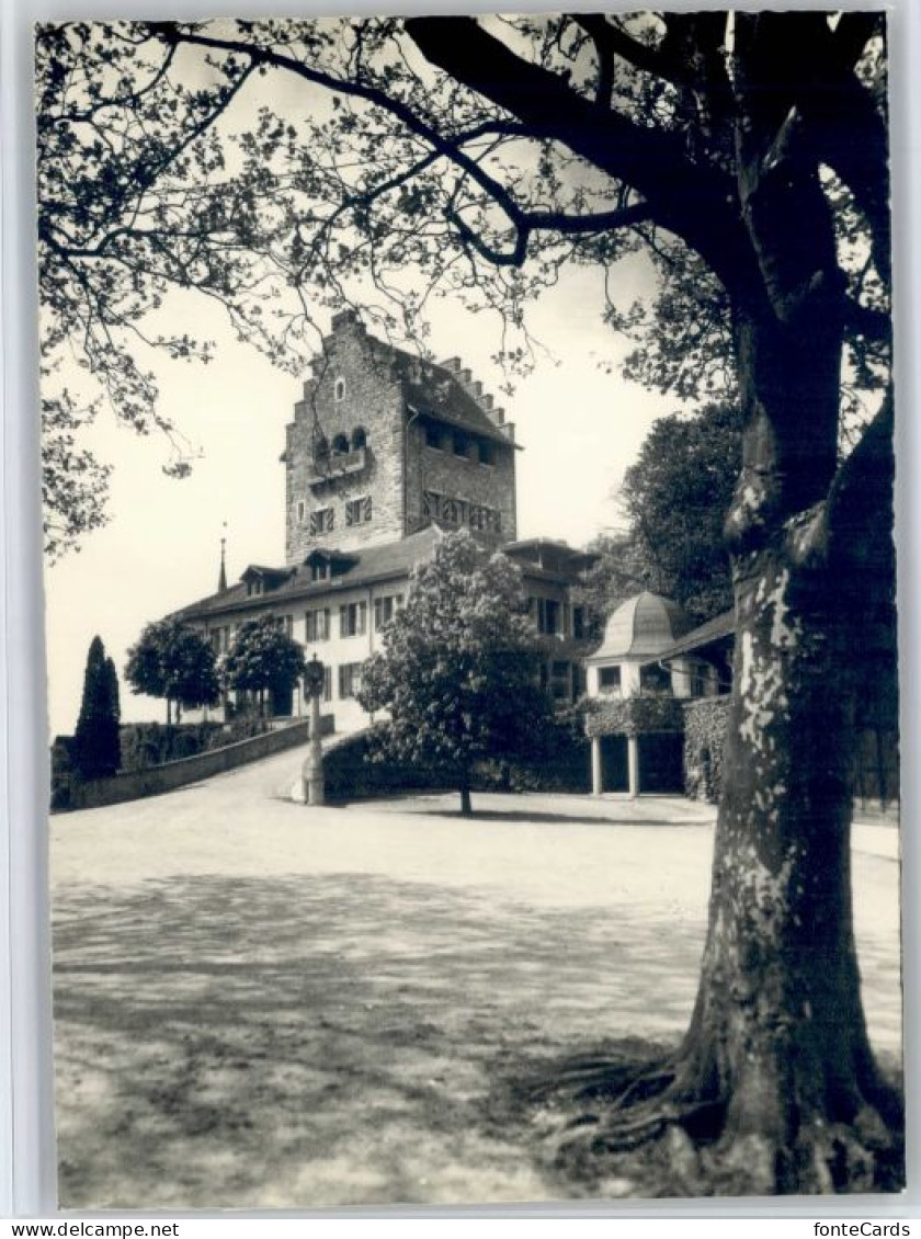 Uster ZH Uster Schloss