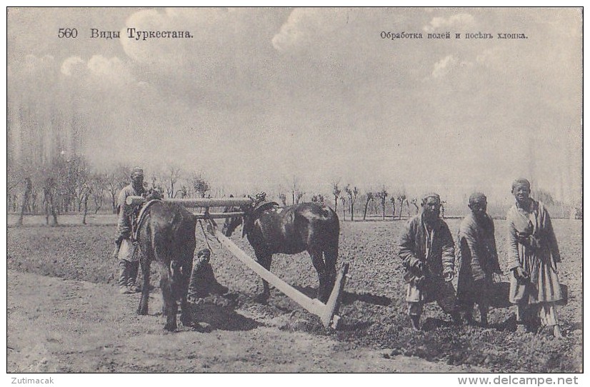 Uzbekistan Turkestan - Agriculture