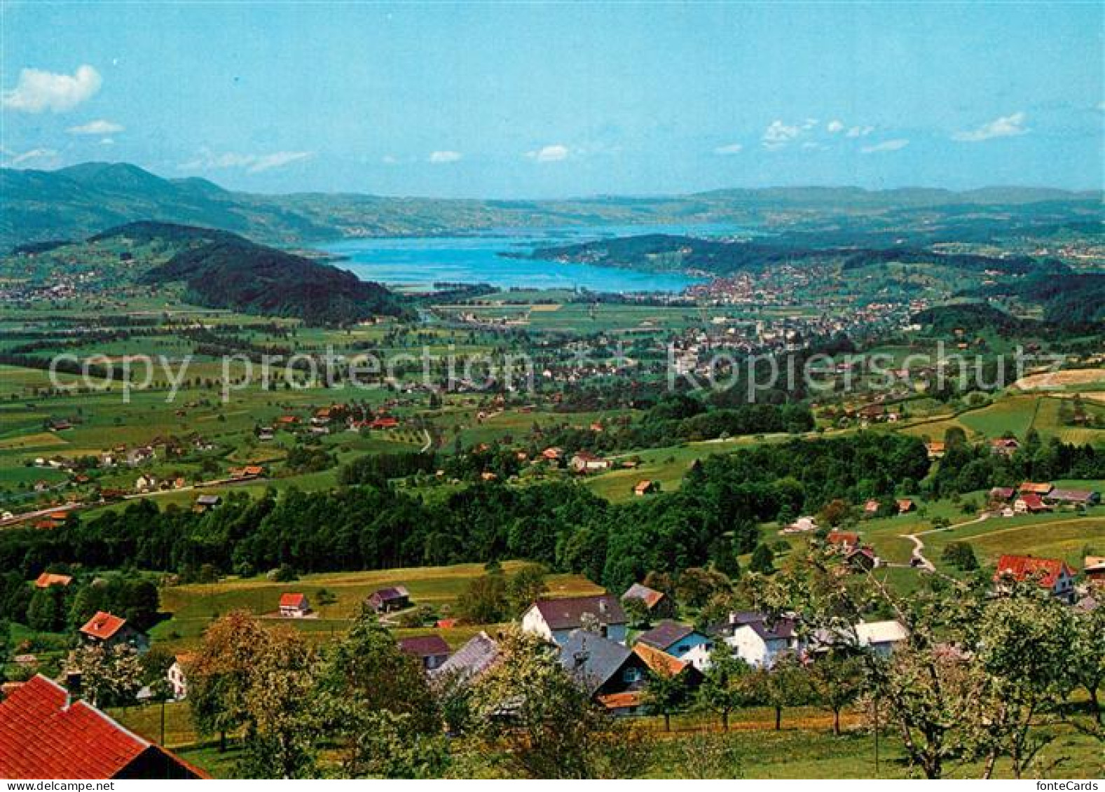 Uznach und Schmerikon mit Blick zum Zuerichsee