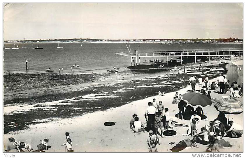 V-15 - 842 : LA PLAINE SUR MER