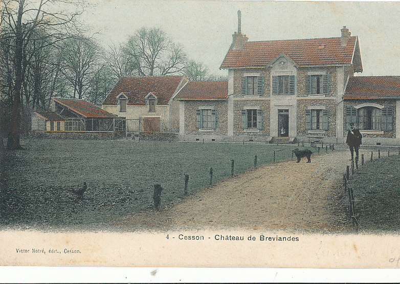 V 667 /CPA  CESSON   (77) CHATEAU DE BREVIANDES