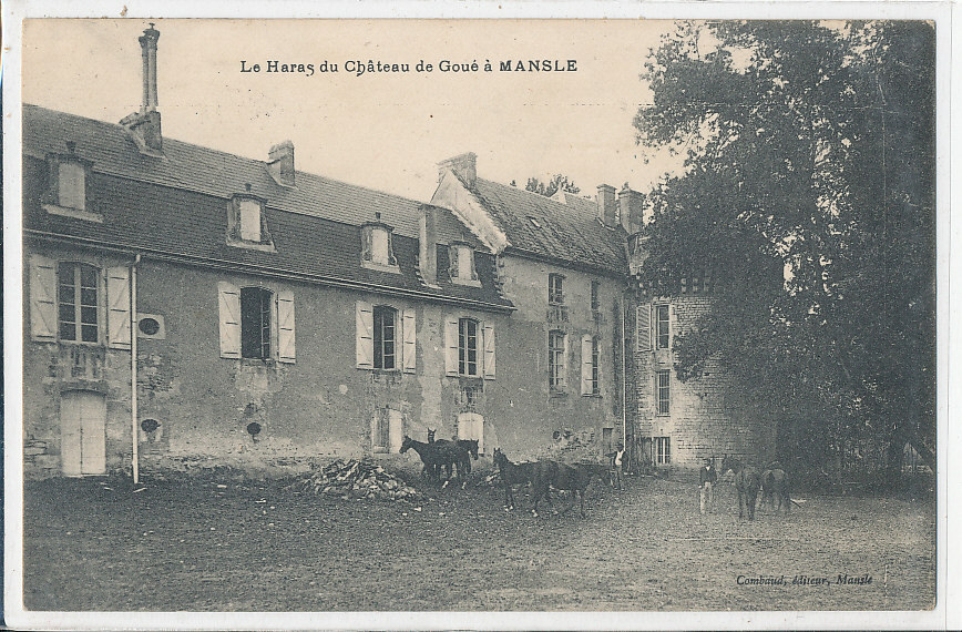 V 963 /CPA   MANSLE (16)   LE HARAS DU CHATEAU DE GOUE