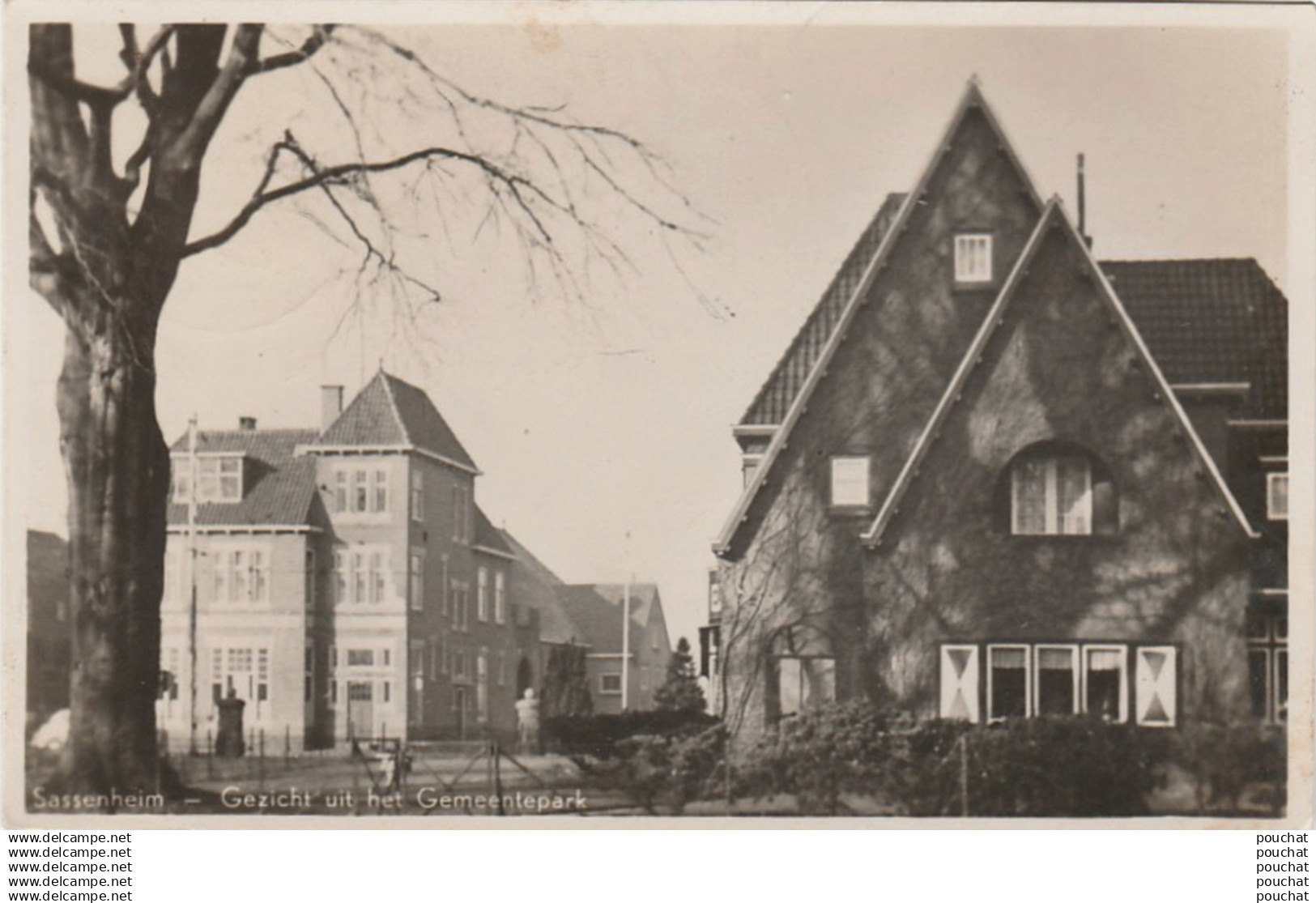 V18- SASSENHEIM - GEZICHT UIT HET GEMEENTEPARK -  EN  1954 - ( 2 SCANS )