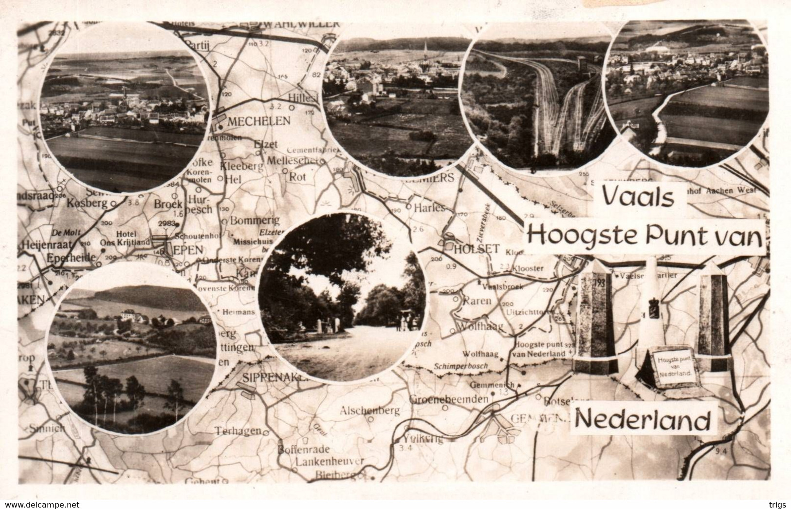 Vaals
