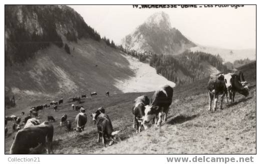VACHERESSE ..... UBINE .... LES PATURAGES