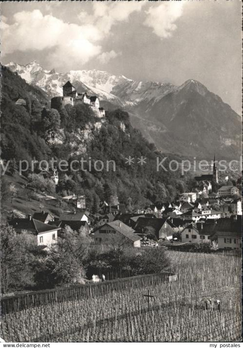 Vaduz Burg Liechtenstein