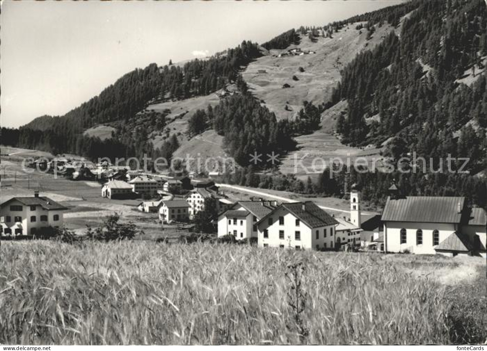 Valchava Panorama