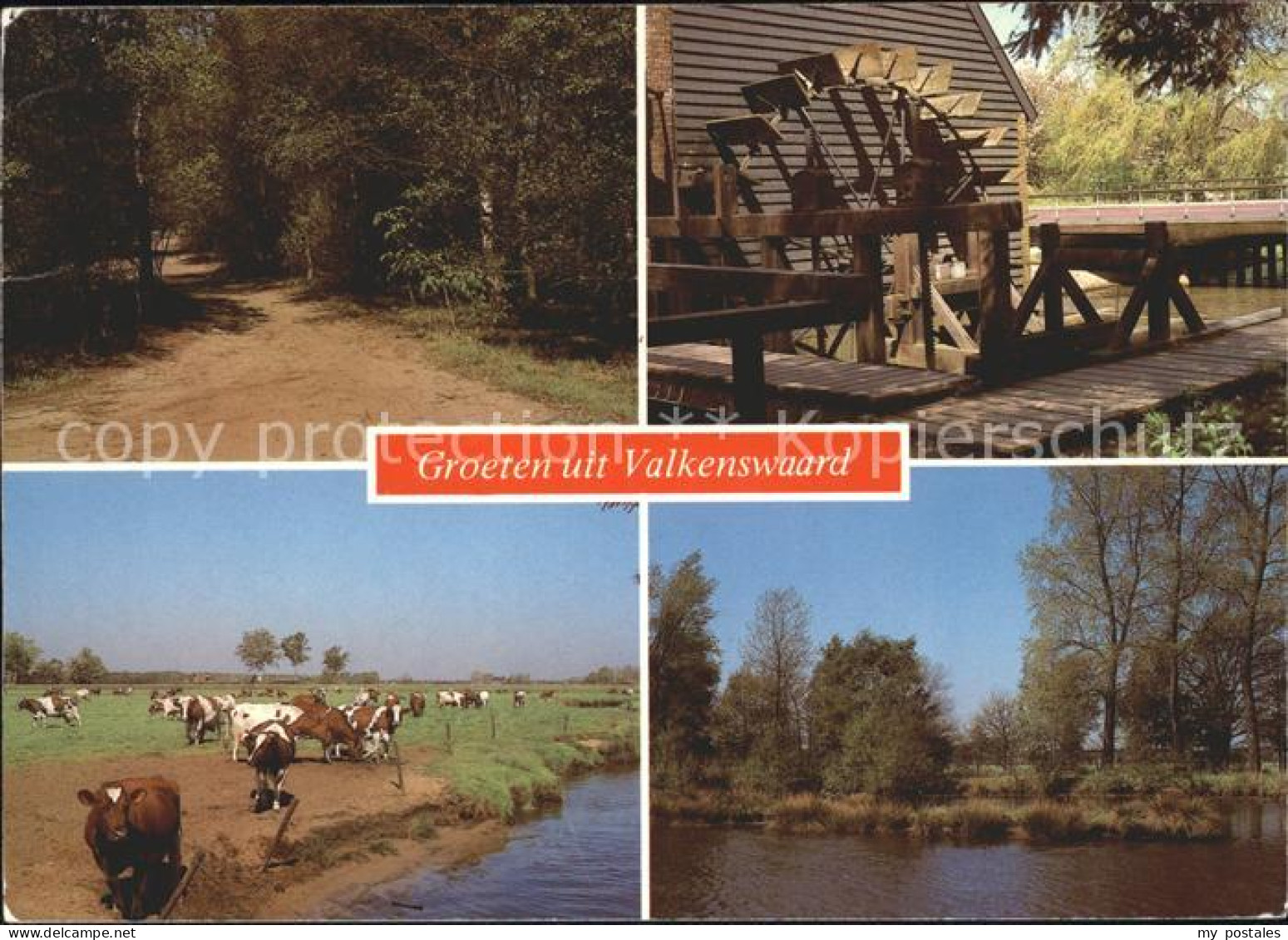 Valkenswaard Kuehe Wasserrad