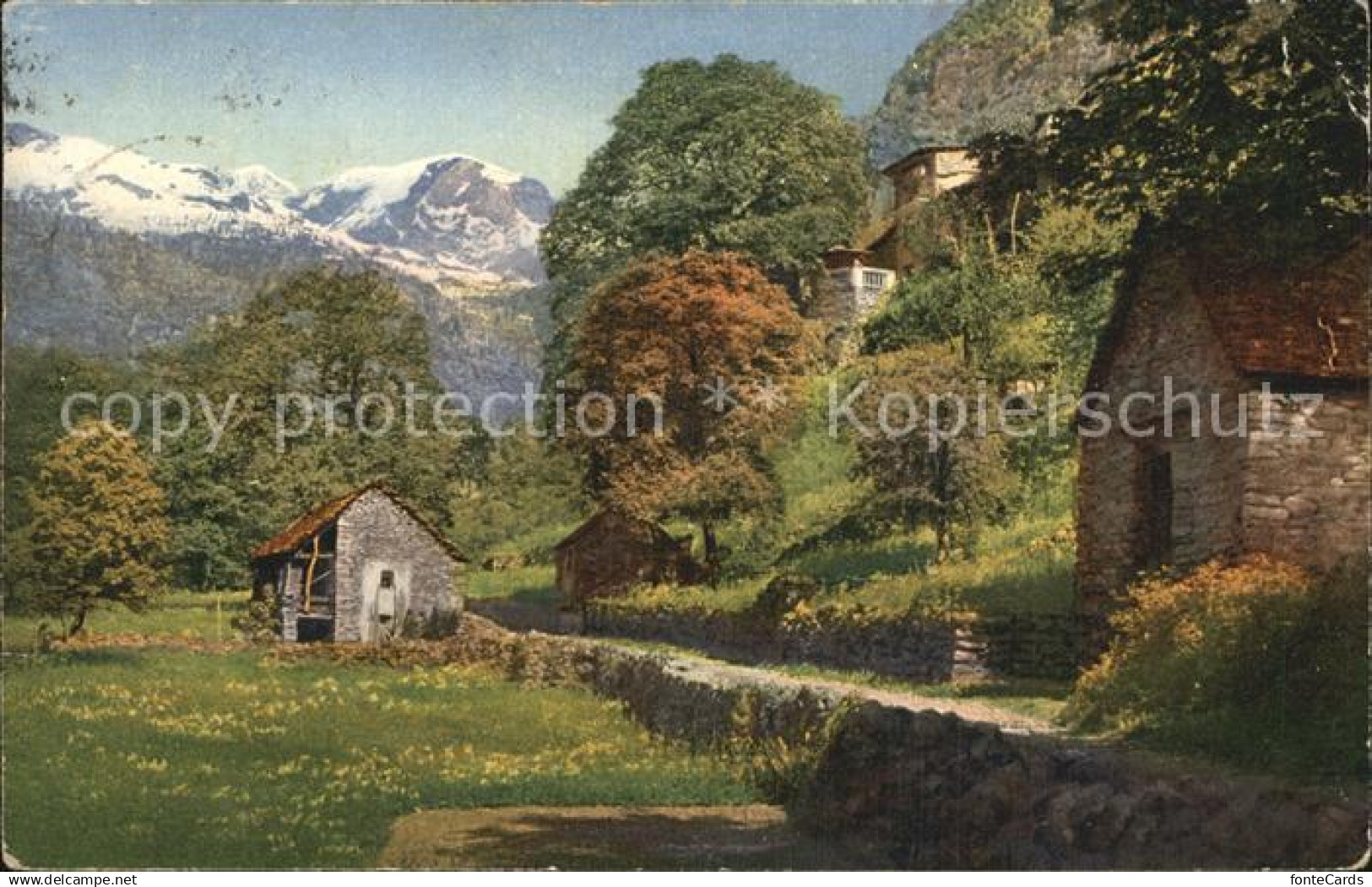 Valle Maggia