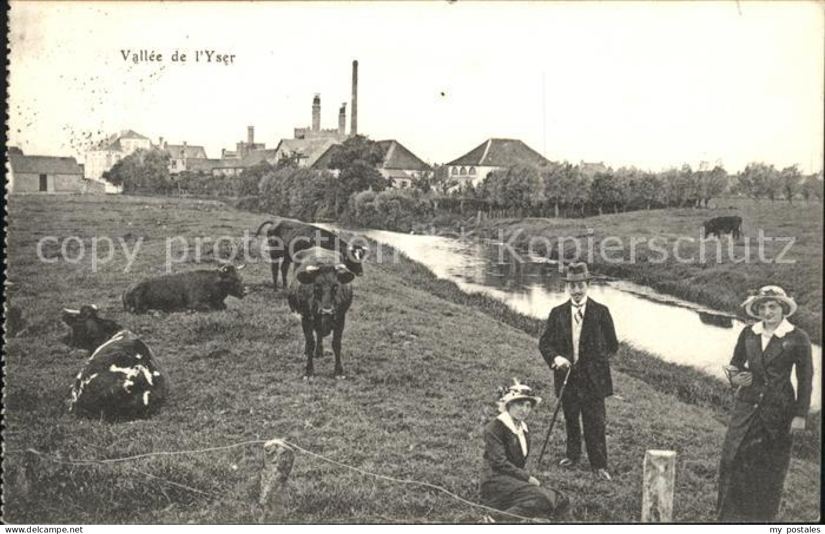 Vallee de l Yser Dorf Partie am Bach Viehweide Kuehe