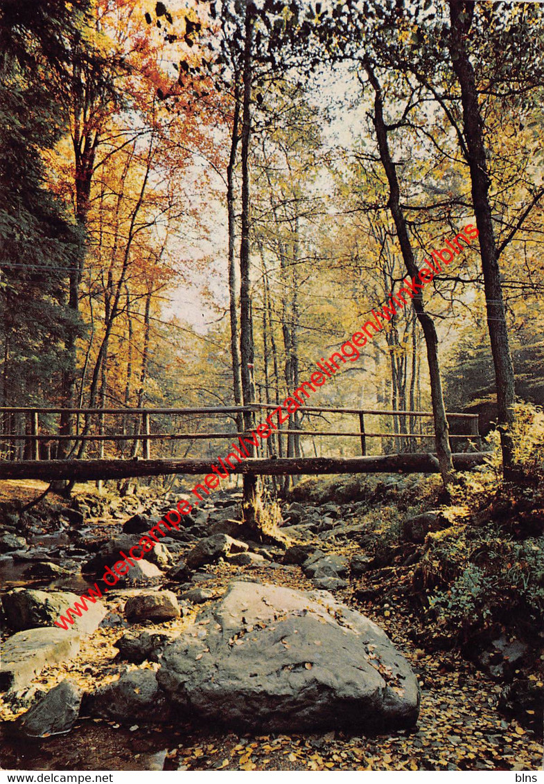 Vallée de la Hoegne - Erezée