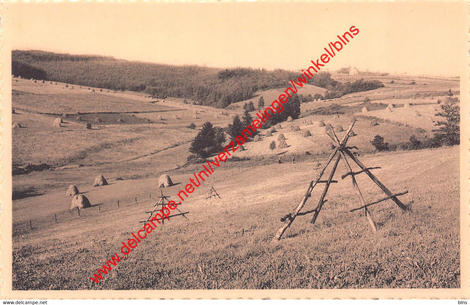 Vallée de la Tronkel - Manderfeld