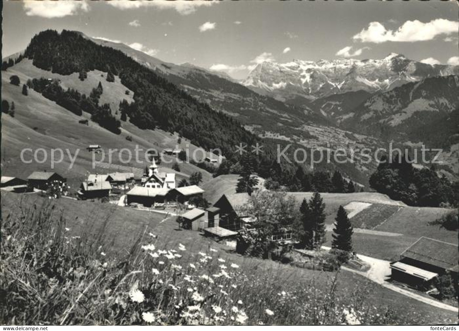 Valzeina Panorama gegen Schesaplana